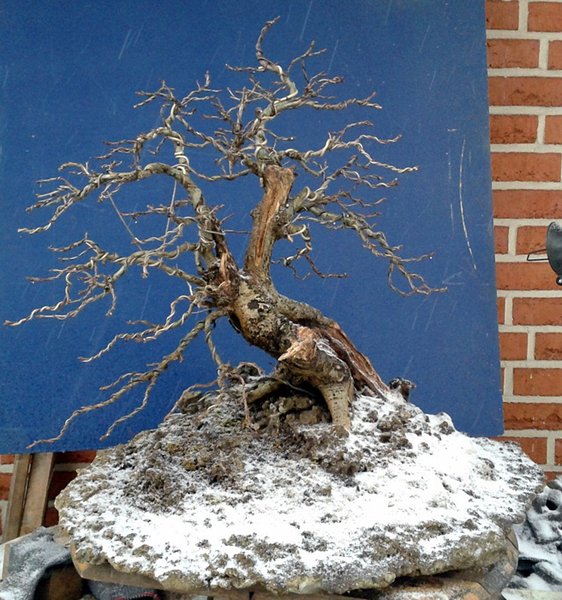 2013-03-10 08.48.43.jpg