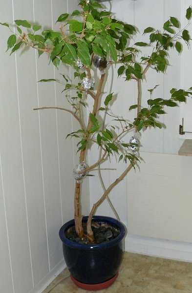 P1070317_2.jpg