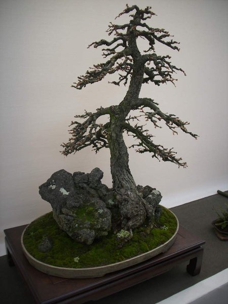 DSCI0041.jpg