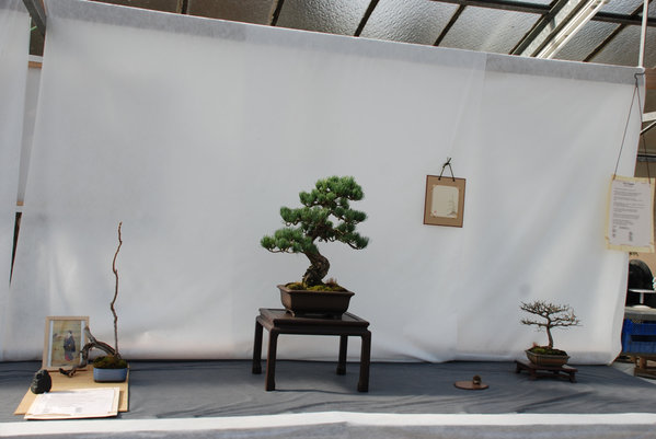 Display AK Shigoto