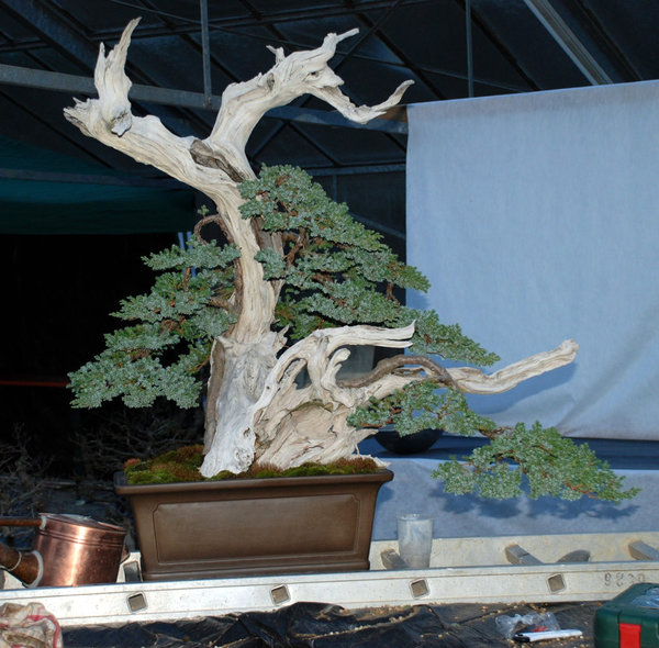 DSC_0063.jpg