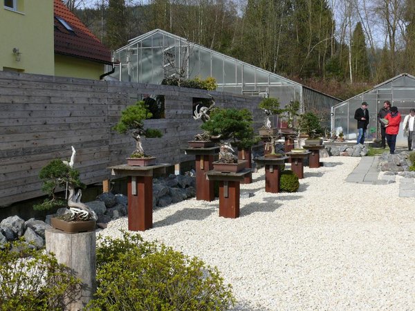 Ein Anblick, der das Herz höherschlagen lässt: so ein Garten und solche Bäume...
