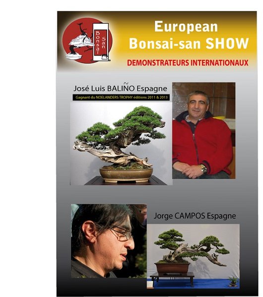 demonstrateur-internationaux-1.jpg
