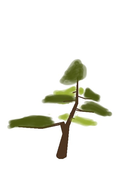 bonsaipinus2.jpg
