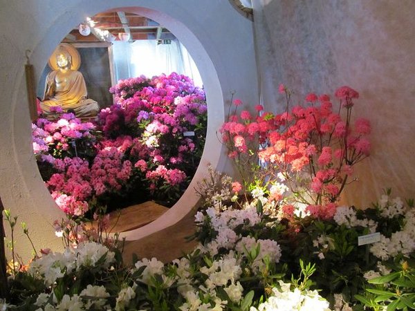 k-IMG_1118.JPG