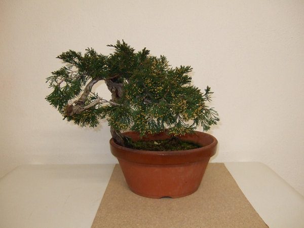 DSCF1563ab.jpg