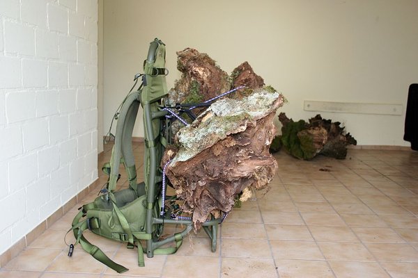 Yamadori_Wurzelholz_2013 012.jpg