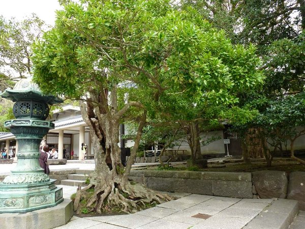 Daibutsu.jpg
