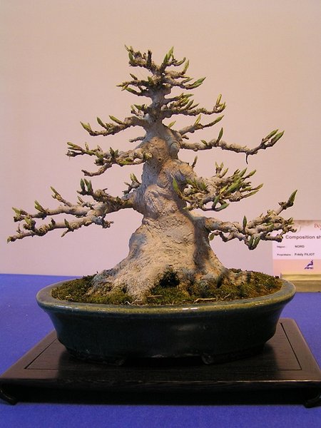 115.jpg