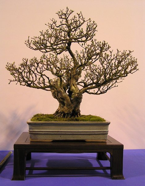 124.jpg