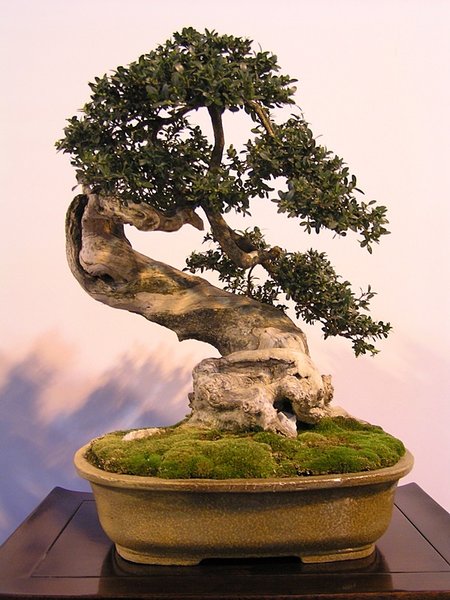 164.jpg
