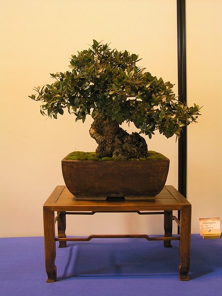 178.jpg