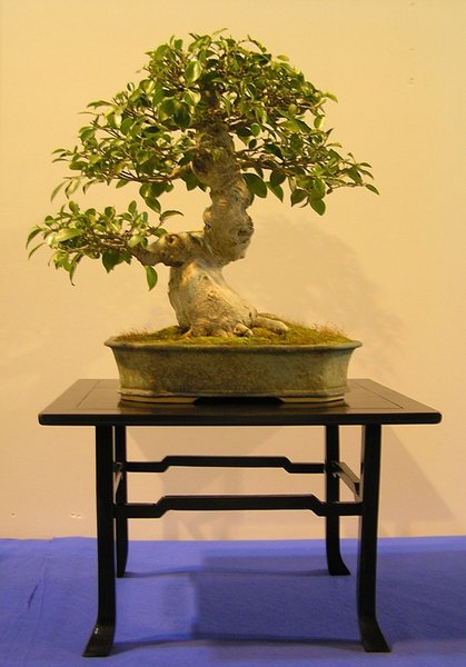 187.jpg