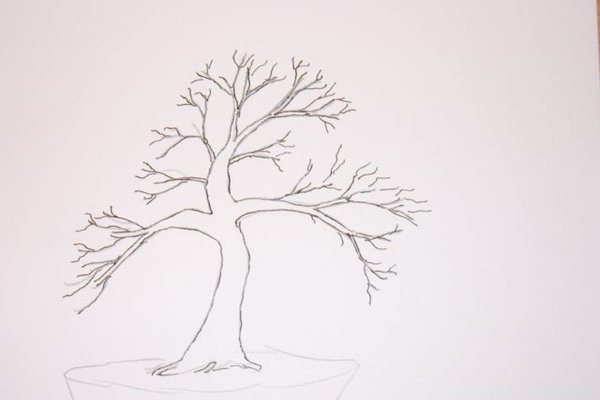 acer_sketch.jpg