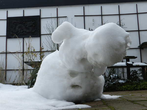 DSCN3610.jpg