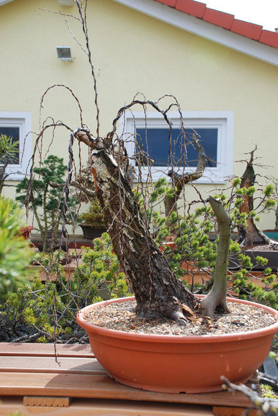 April 2010, nach der Erstgestaltung