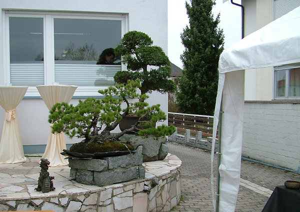 DSCF3080.jpg
