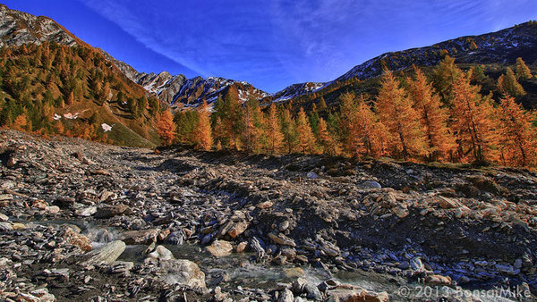 Lärchen im Herbst. HDR-Foto (High Dynamic Range) – deswegen der plastische Effekt (http://en.wikipedia.org/wiki/High_dynamic_range_imaging).