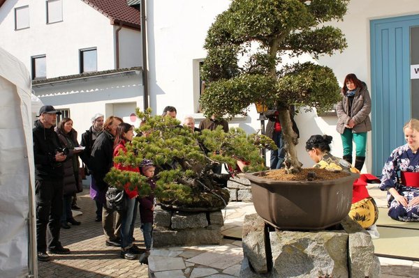 grosses Interesse bei strahlendem Sonnenschein