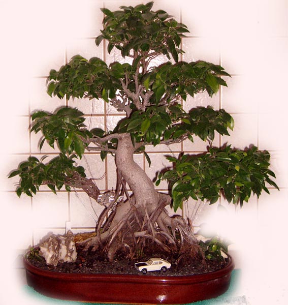 November 2005