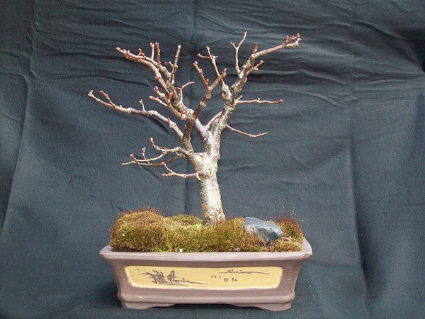 comp22102_0423.jpg