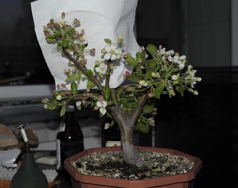 Projekt_malus_0003.JPG