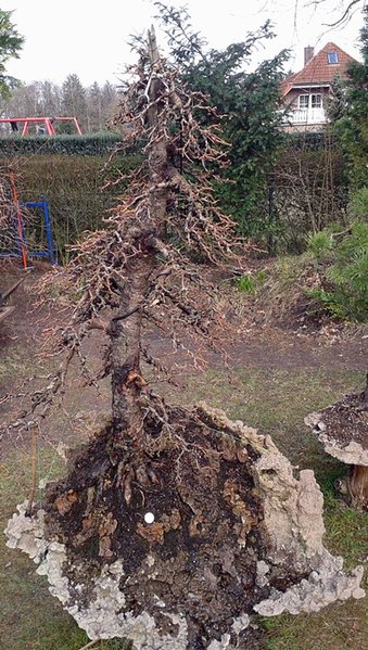 2013-04-14 16.47.45.jpg