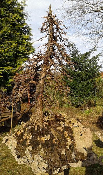 2013-04-14 18.05.36.jpg