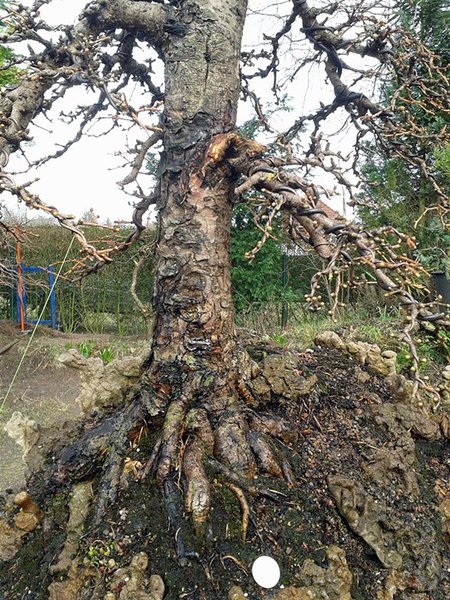 2013-04-14 16.48.58.jpg