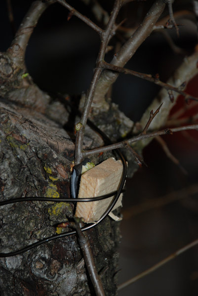 DSC_0233.jpg