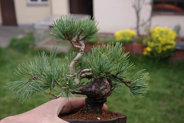 2013_04_3.jpg