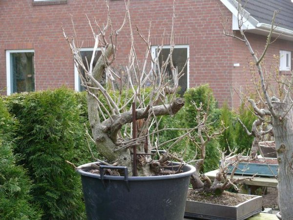 2012-03-26.JPG