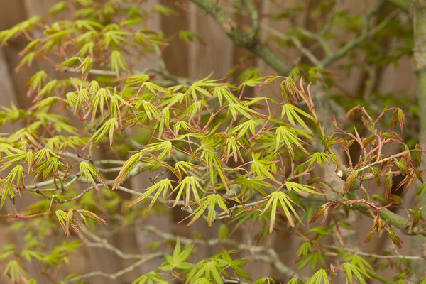 20130421-IMG_7285.jpg