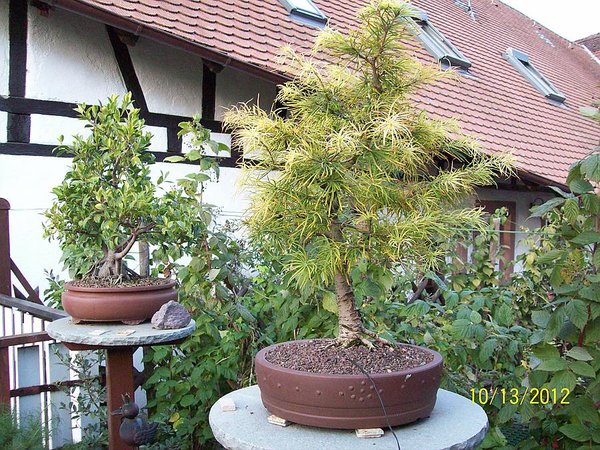Oktober 2012