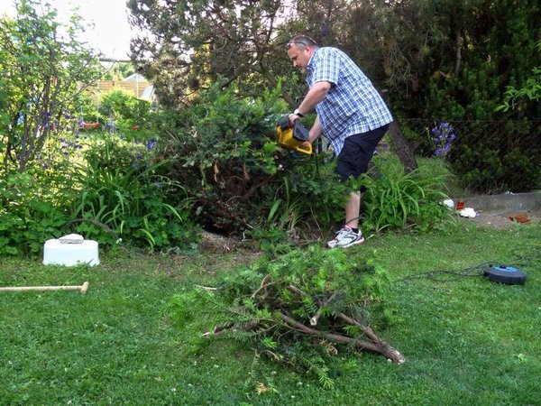 EibeMerlinJuli2012_4.jpg