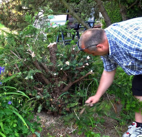 EibeMerlinJuli2012_5.jpg