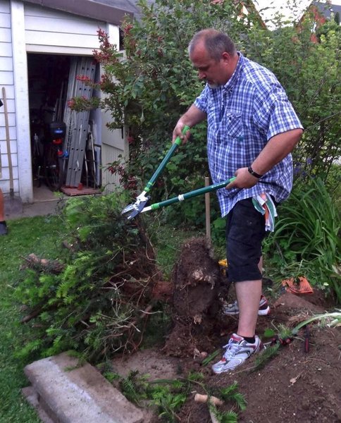 EibeMerlinJuli2012_9.jpg