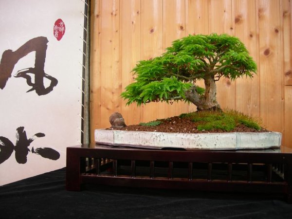 DSCN6812s.jpg