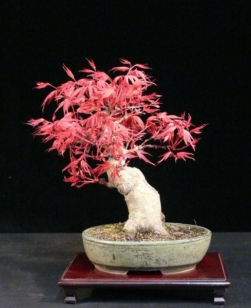 P1080276k.JPG