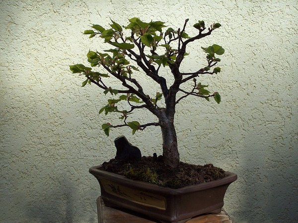 comp22102_0620.jpg