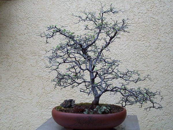 comp22102_0684.jpg