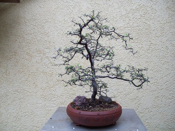 comp22102_0694.jpg