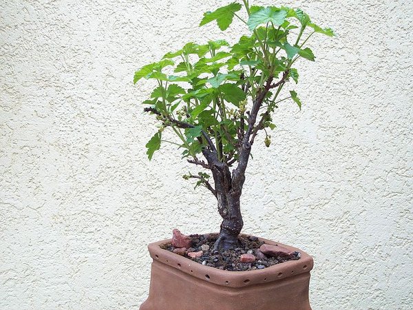 comp22102_0676.jpg