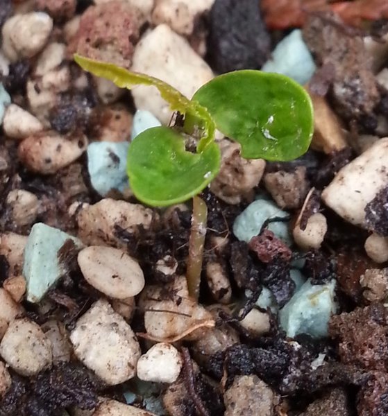 20130429_185253.jpg