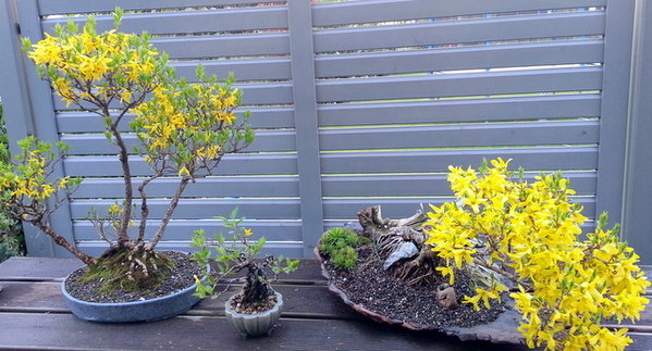 20130423_195251.JPG