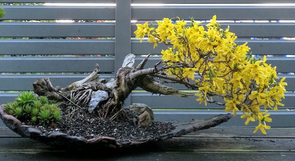 20130423_195410-001.JPG