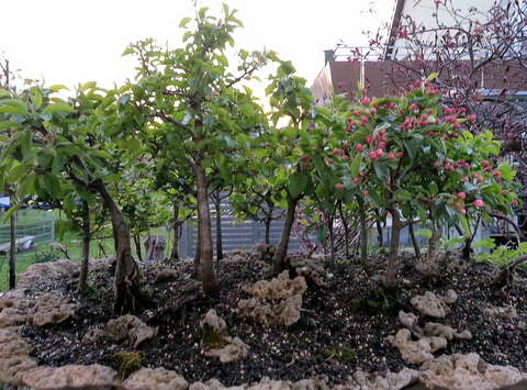 20130423_195801-002.JPG