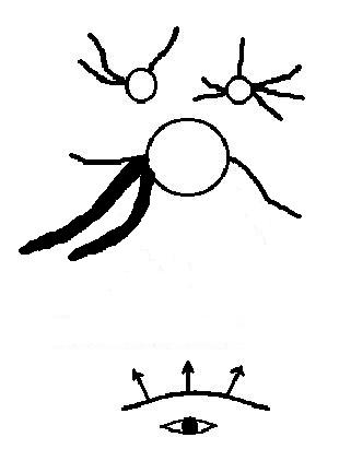 topview Cham Laws virtual.jpg