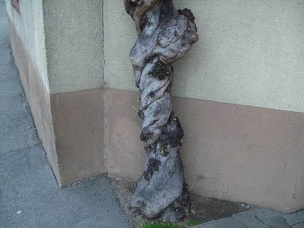 comp22102_0710_00.jpg
