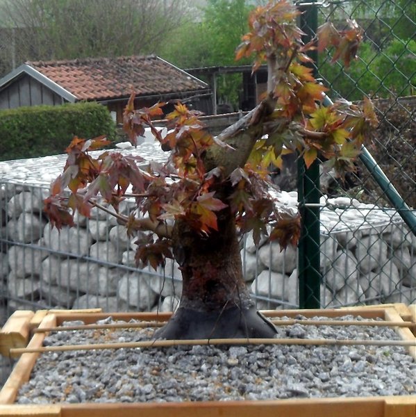 SDC13051.JPG